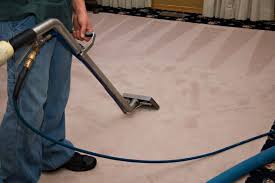 Freshly cleaned carpet detail