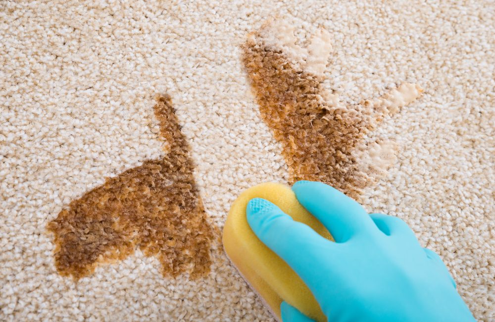 Spot treatment for office carpet spillage