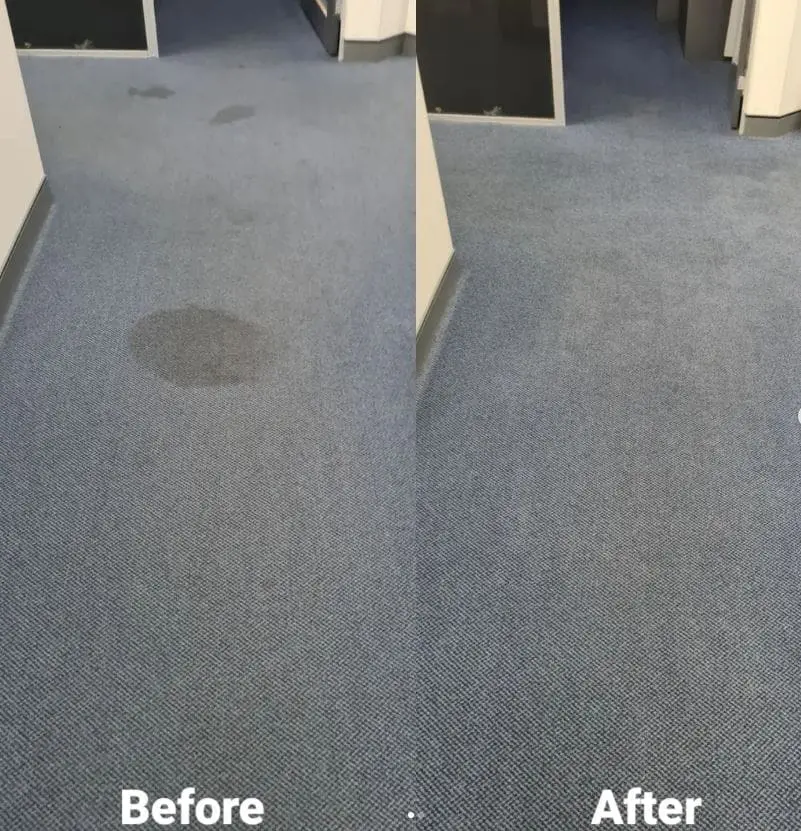 Office carpet cleaning in progress
